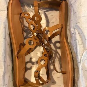 Brand new in the box 📦 dolce vita sandals
